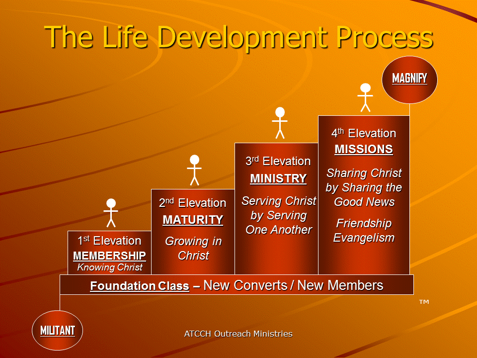 The Life Development Process